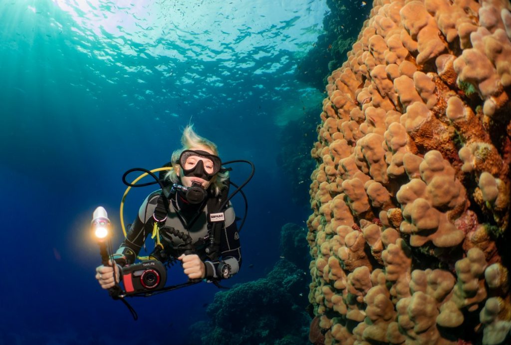 Elphinstone Reef
